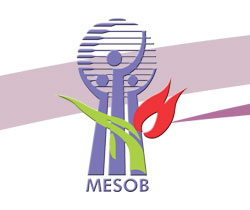 MESOB logo