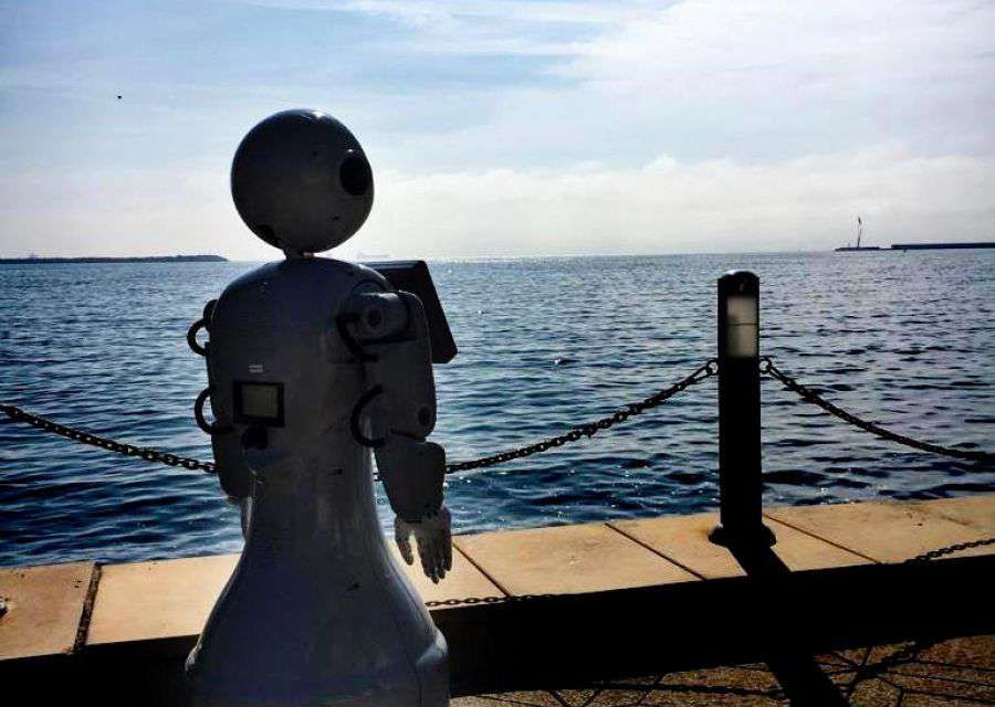 MINI ADAS AT KDZ EREĞLİ SCIENCE AND ROBOTIC CODING FESTIVAL