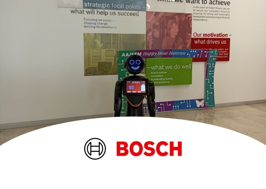 MINI ADA AT BOSCH AUTOMOTIVE INTERNAL ORGANIZATION