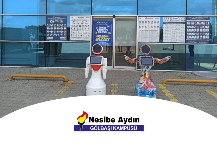 MINI ADA AT NESİBE AYDIN EDUCATIONAL INSTITUTIONS SCIENCE AND ART FESTIVAL
