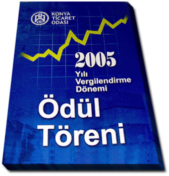 2005 vergi